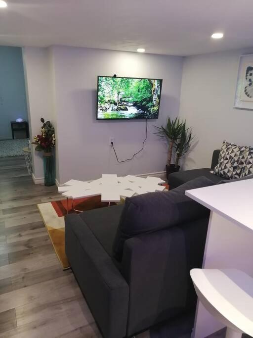 Cozy Nest Basement Unit Apartment Хамилтън Екстериор снимка