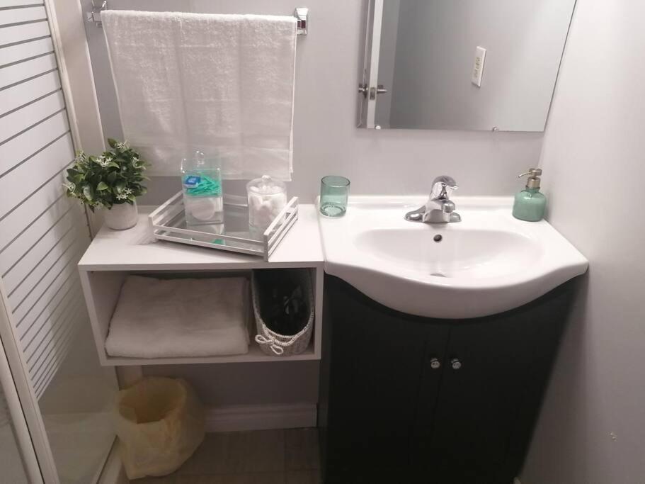 Cozy Nest Basement Unit Apartment Хамилтън Екстериор снимка